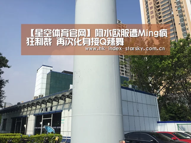 星空体育官网