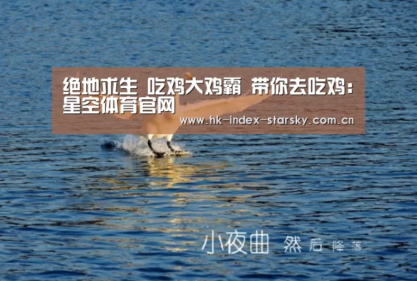 星空体育网址