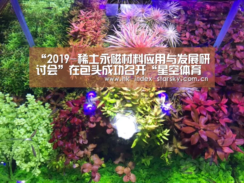 星空体育入口