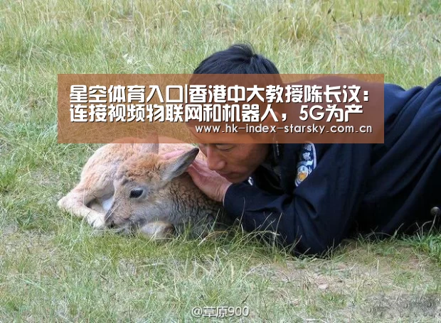 星空体育入口|香港中大教授陈长汶:连接视频物联网和机器人,5G为产业带来新机遇(图1) 星空体育入口