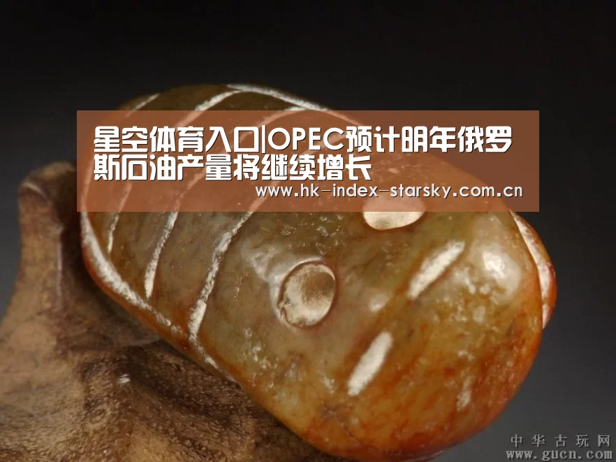 星空体育入口|OPEC预计明年俄罗斯石油产量将继续增长(图3) 星空体育